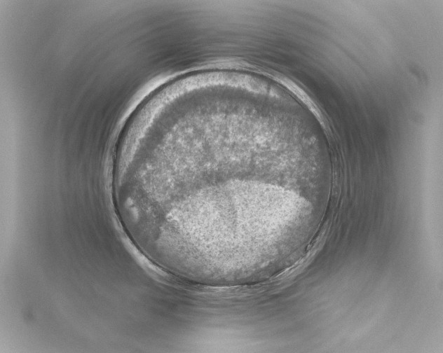 X0000115411438200912011216