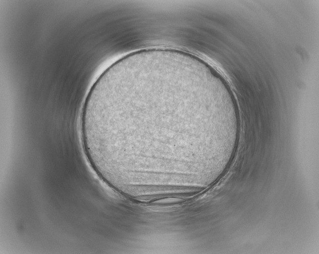 X0000115411440200912011216