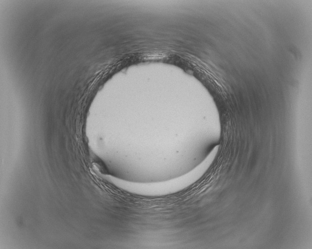 X0000115411441200912011216