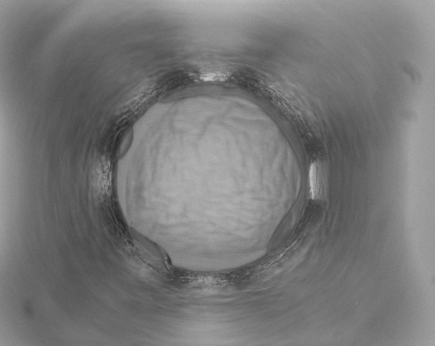 X0000115411443200912011216