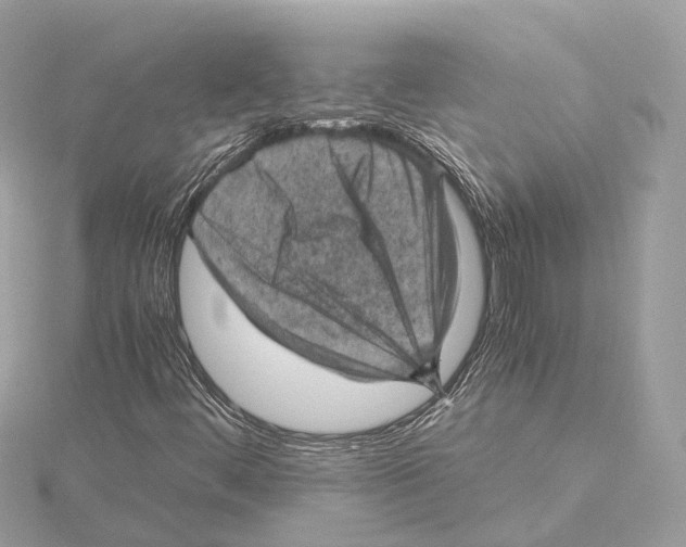 X0000115411444200912011216