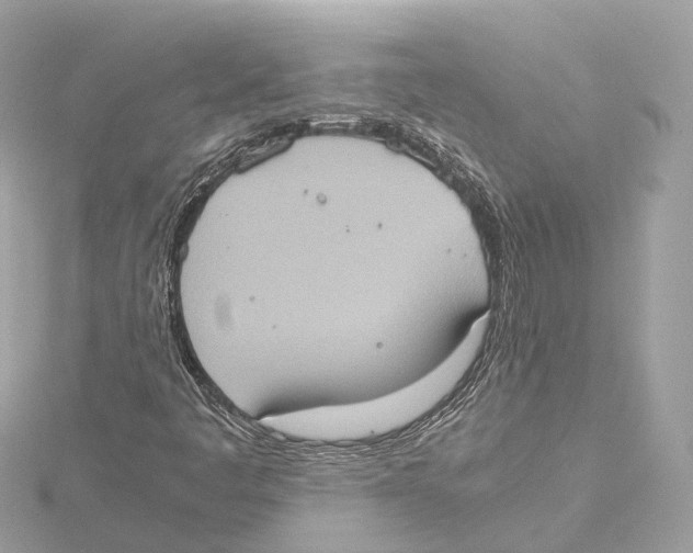 X0000115411445200912011216