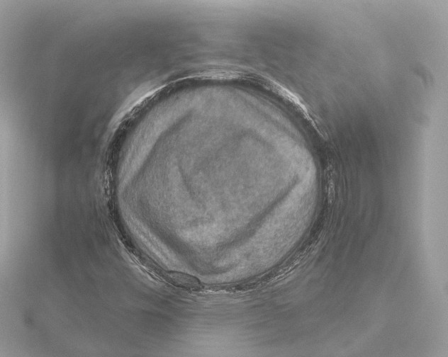 X0000115411448200912011216