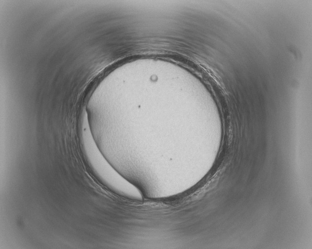 X0000115411449200912011216