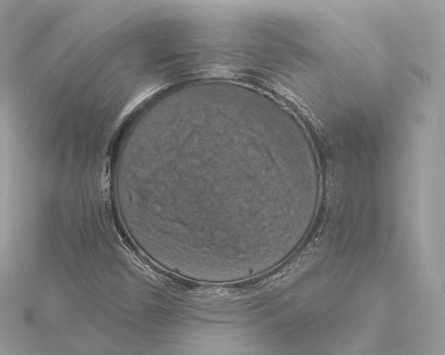 X0000115411450200912011216