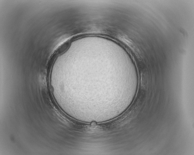 X0000115411452200912011216