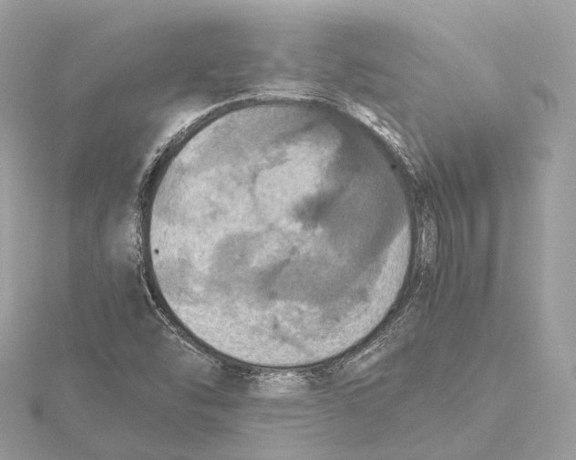 X0000115411454200912011216