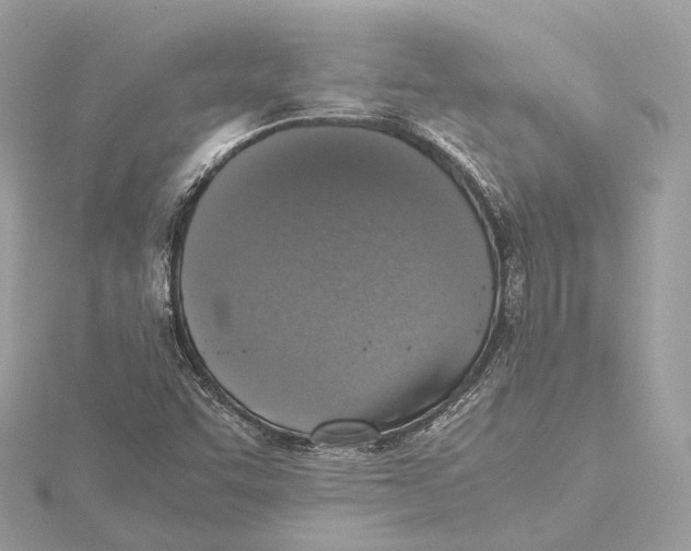 X0000115411455200912011216