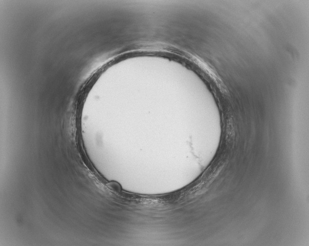 X0000115411456200912011216