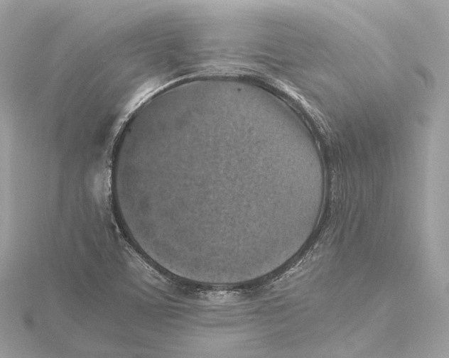 X0000115411459200912011216