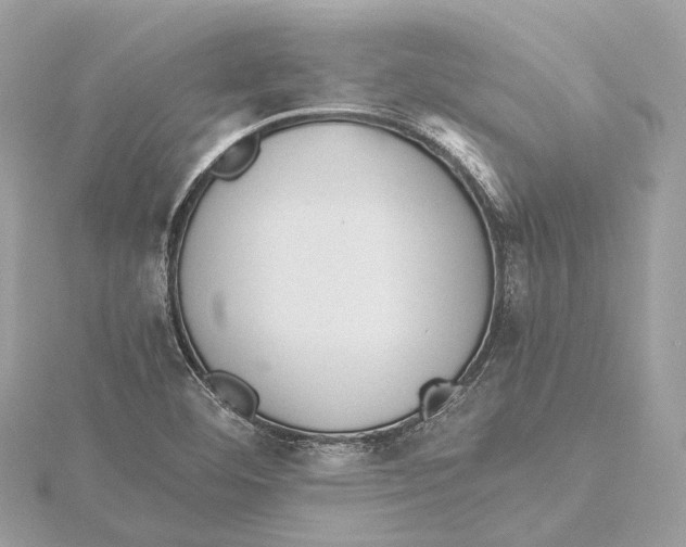 X0000115411460200912011216