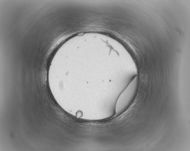 X0000115411461200912011216