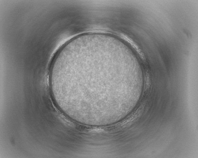 X0000115411462200912011216