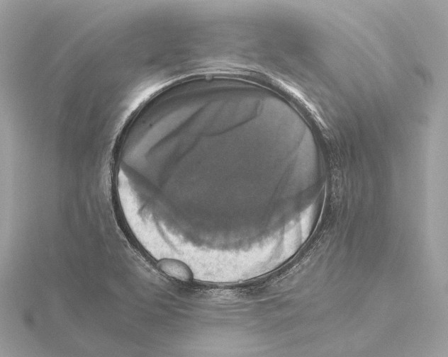 X0000115411463200912011216