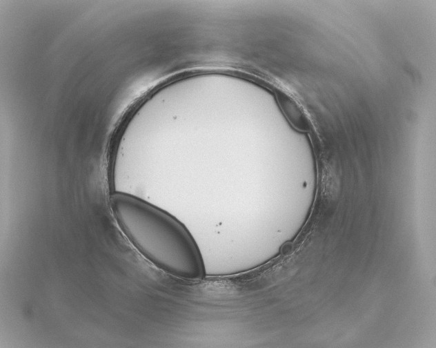 X0000115411464200912011215