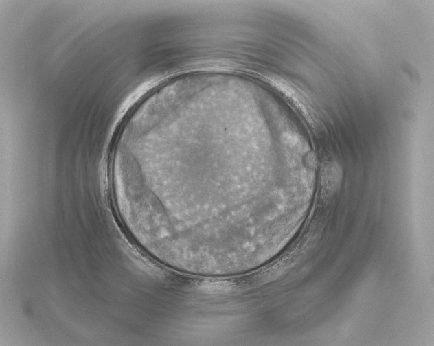 X0000115411466200912011215