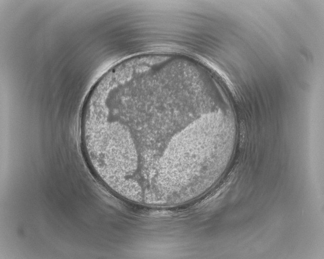 X0000115411467200912011215