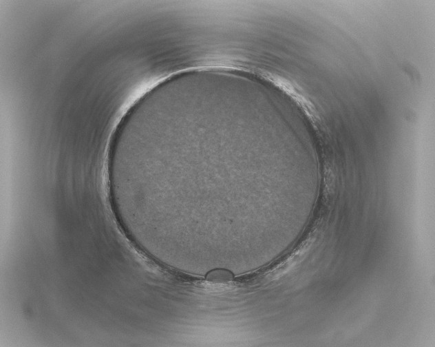 X0000115411469200912011215