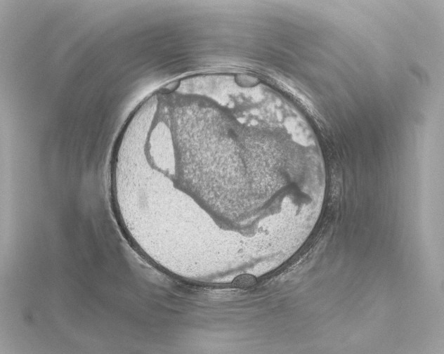 X0000115411471200912011215