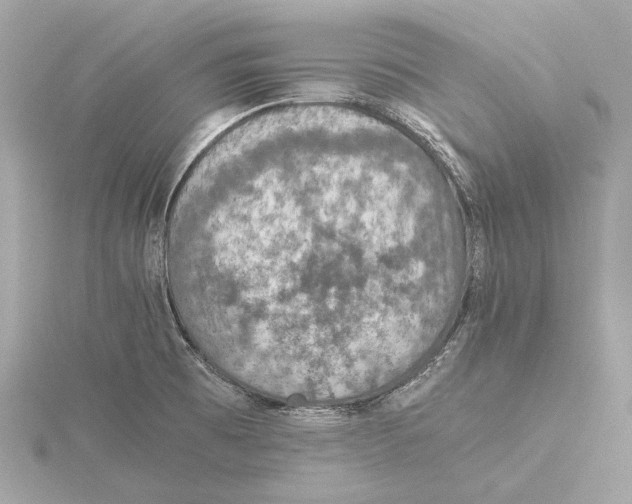 X0000115411473200912011215