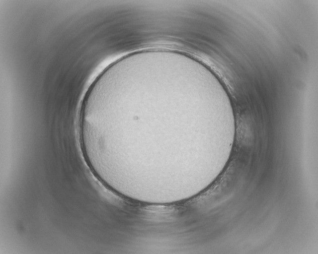 X0000115411478200912011215