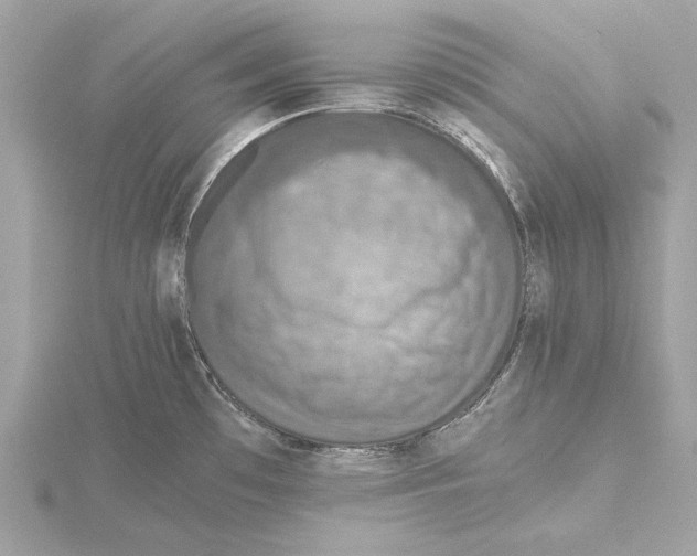 X0000115411481200912011215