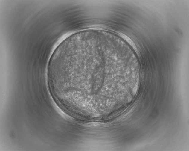 X0000115411482200912011215