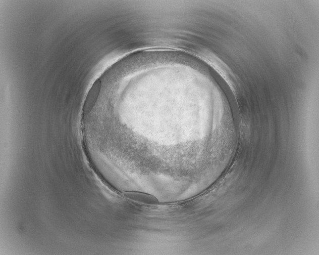 X0000115411485200912011215