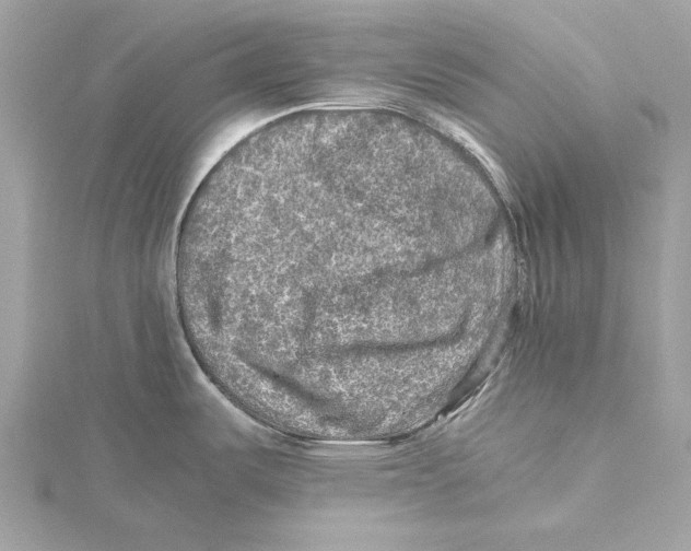 X0000115411487200912011215