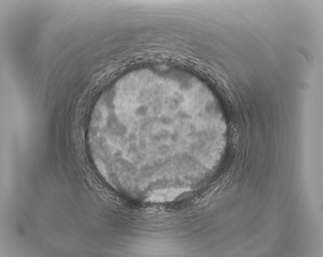 X0000115411489200912011215