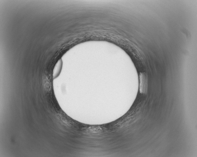 X0000115411491200912011215