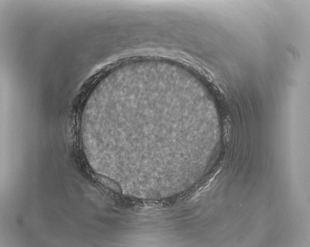 X0000115411494200912011215