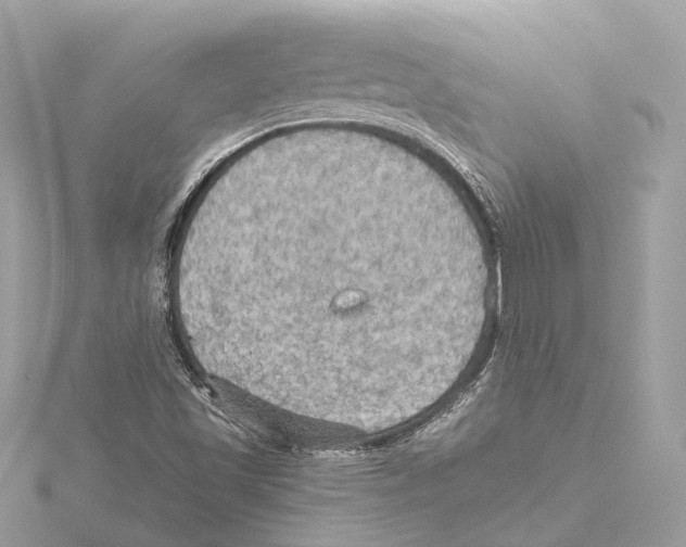 X0000115411501200912011215