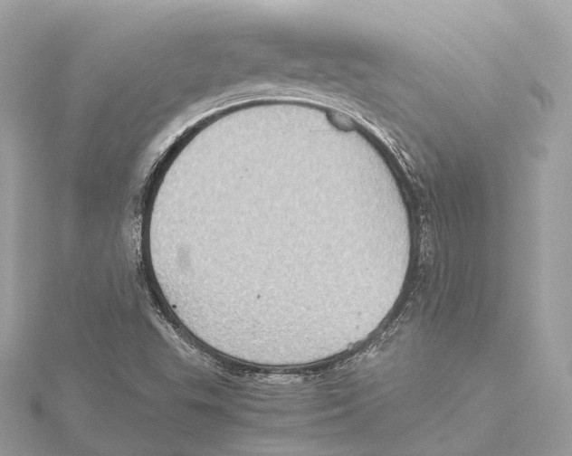 X0000115411503200912011215