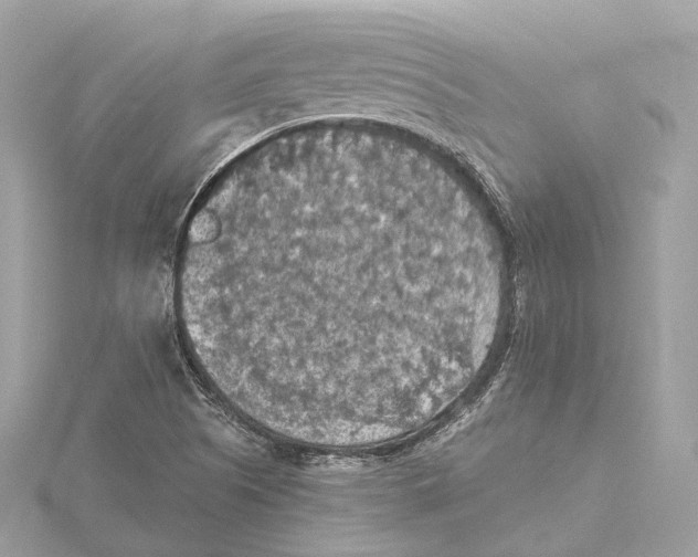 X0000115411505200912011215