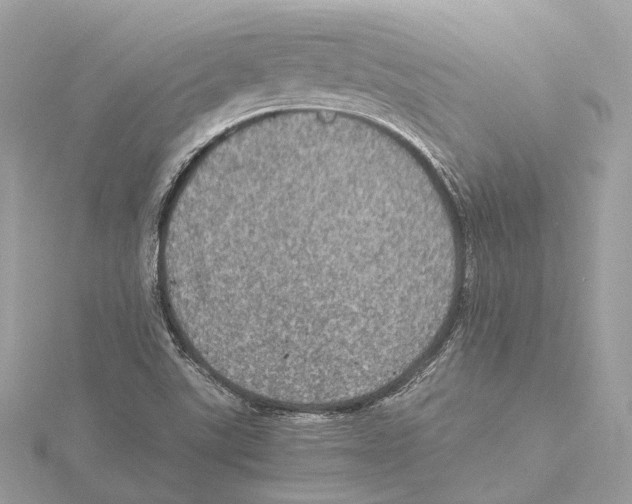 X0000115411507200912011215