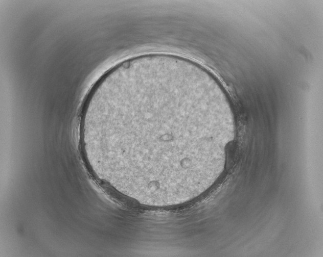 X0000115411511200912011215