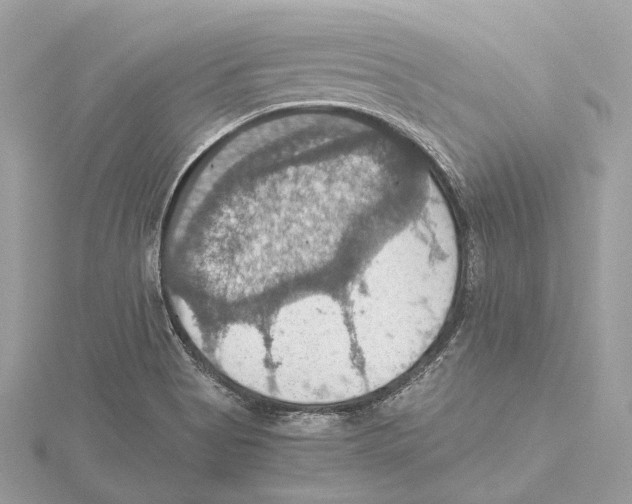 X0000115411513200912011215