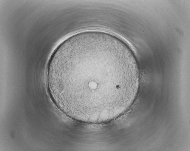 X0000115411514200912011215