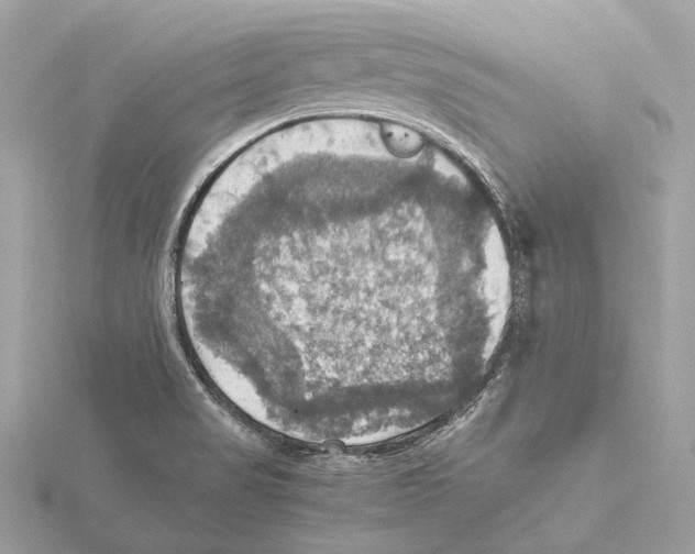 X0000115411517200912011215