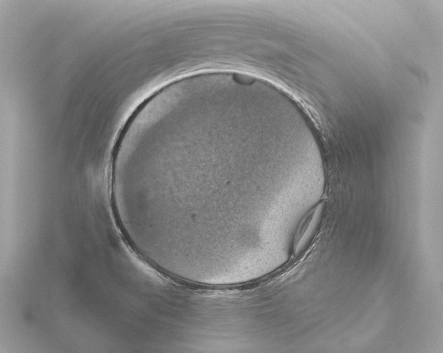 X0000115411519200912011215