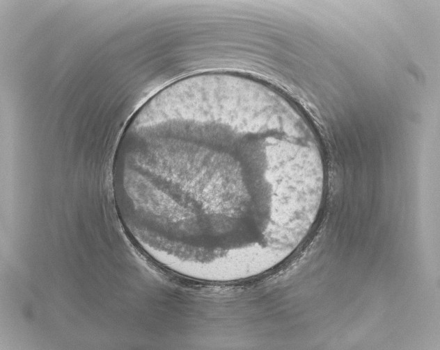 X0000115411521200912011215