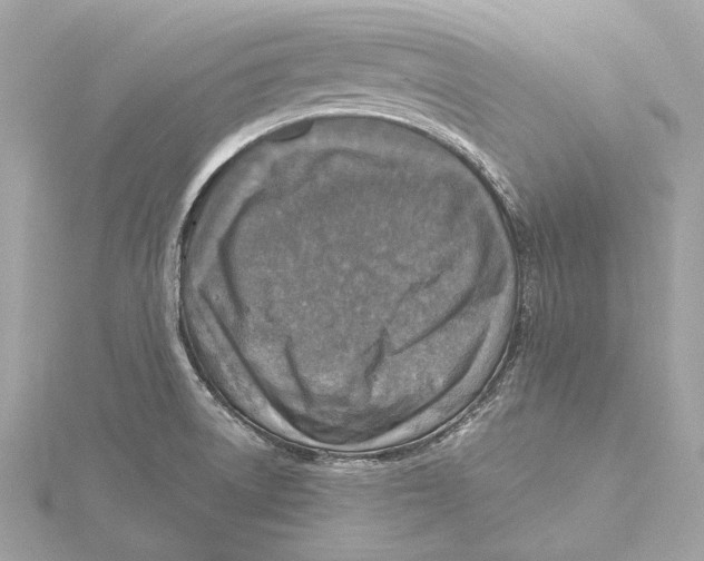 X0000115411522200912011215