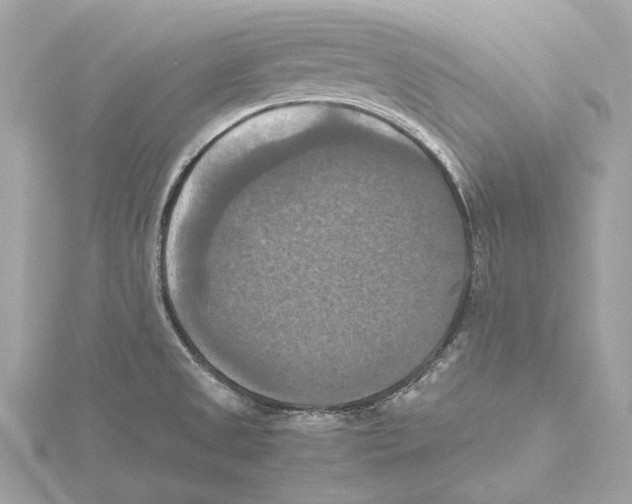 X0000115411525200912011215