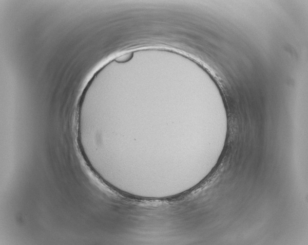 X0000115411526200912011215