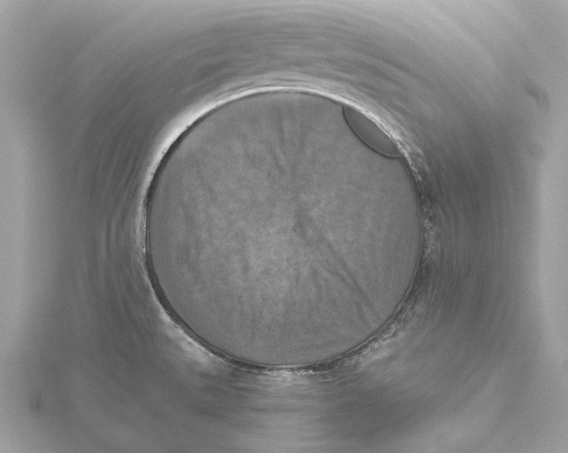 X0000115411527200912011215