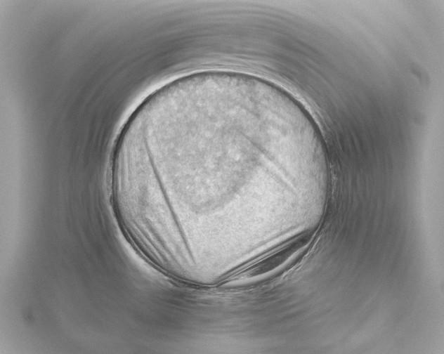 X0000115411531200912011215