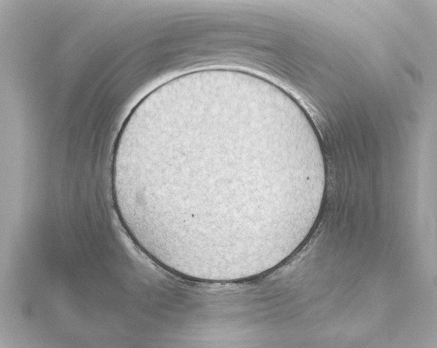 X0000115411534200912011215