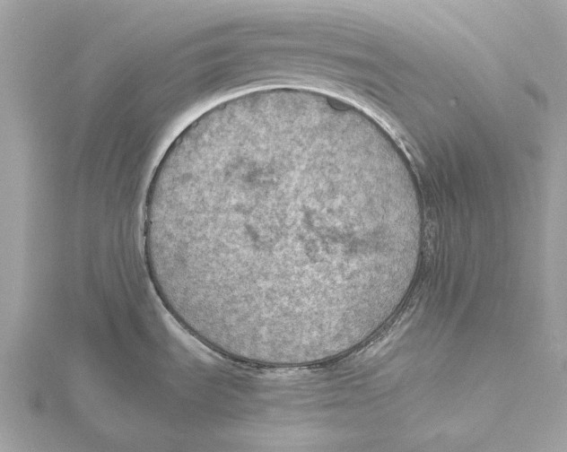 X0000115411535200912011215