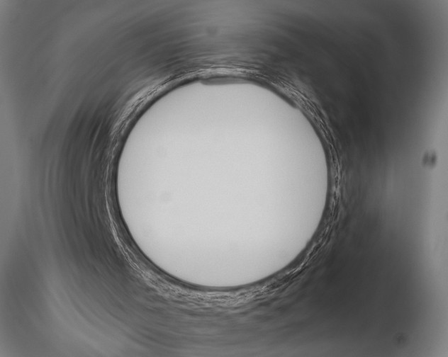 X0000115410001200912011351